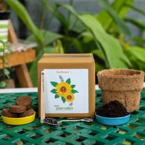 diy-gardening-kit-sunflower-sangitas-green-gallery-1