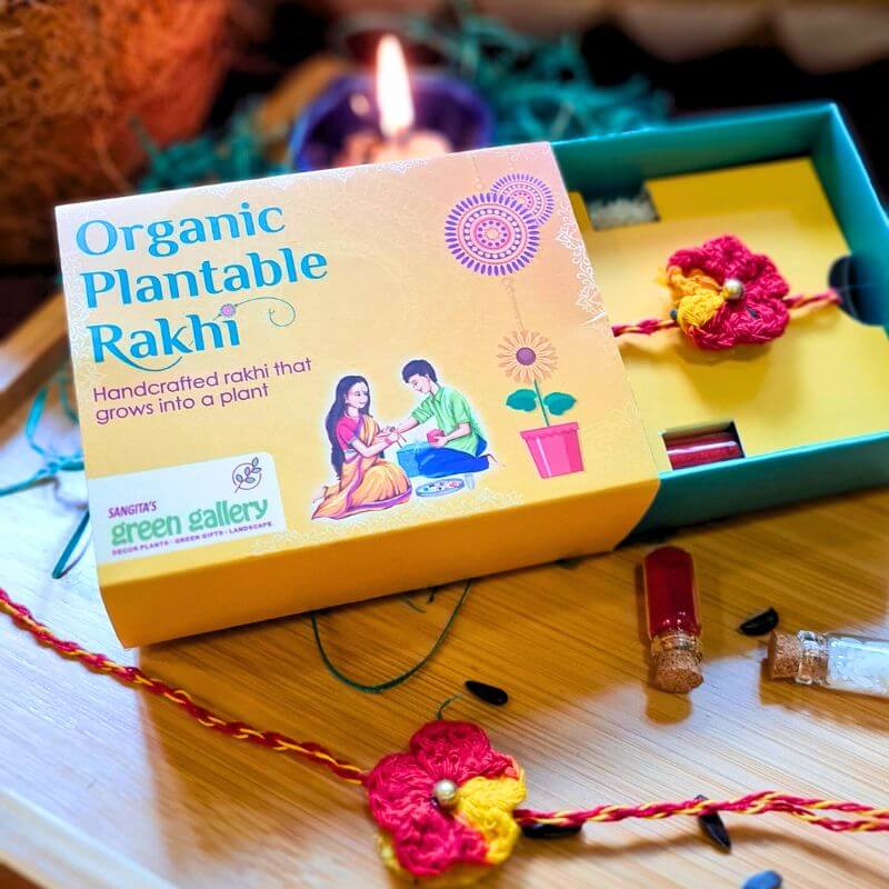 Organic Plantable Rakhi,