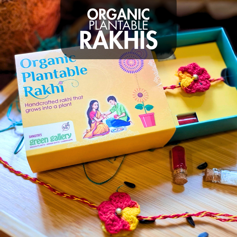Organic Plantable Rakhi,