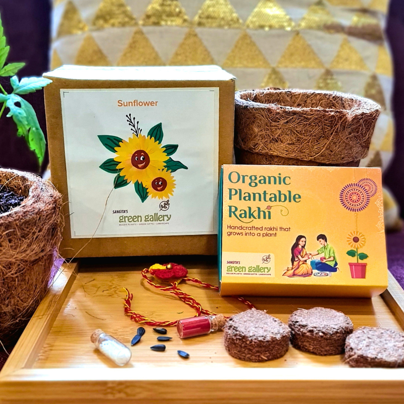 Organic Plantable Rakhi,